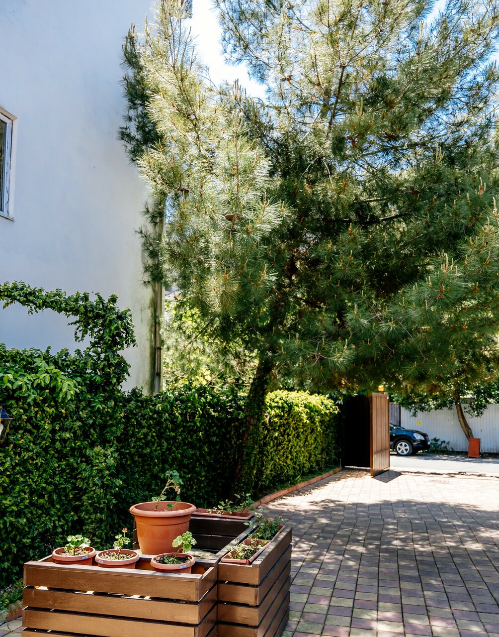 Гостевой дом Талассо Адлер-82