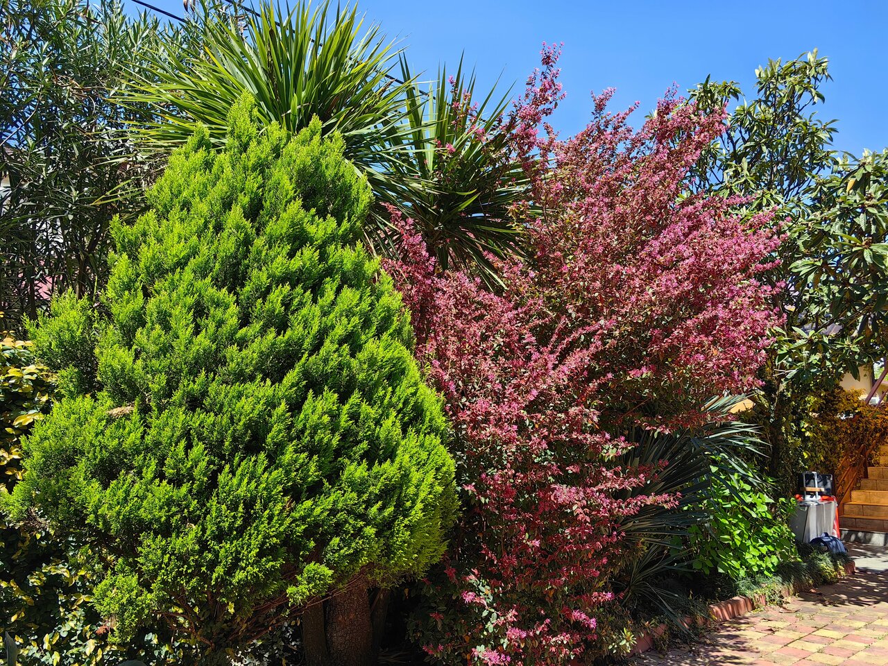 Гостевой дом Талассо Адлер-22