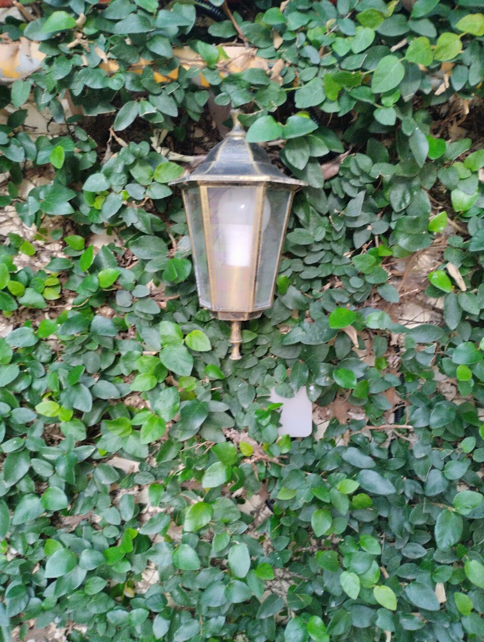 Гостевой дом Талассо Адлер-86