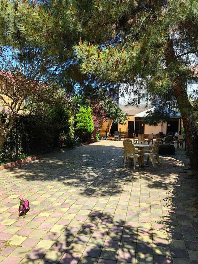 Гостевой дом Талассо Адлер-27