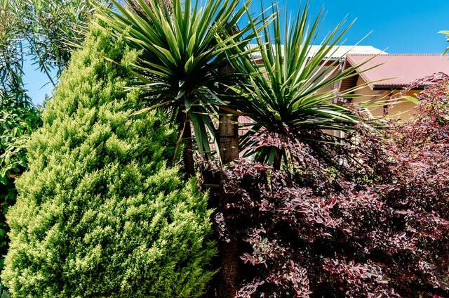 Гостевой дом Талассо Адлер-73