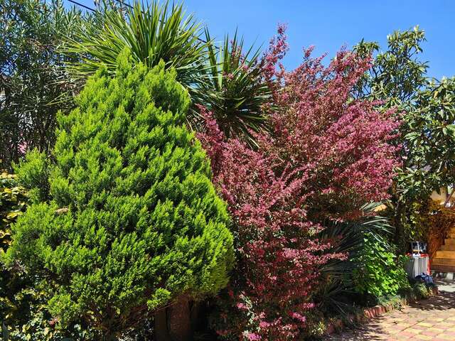 Гостевой дом Талассо Адлер-21