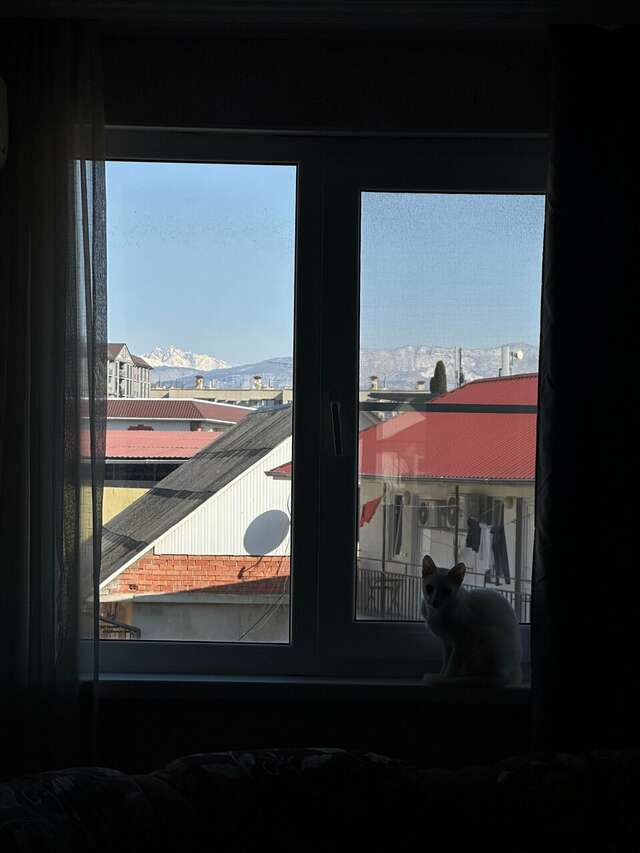 Гостевой дом Талассо Адлер-31